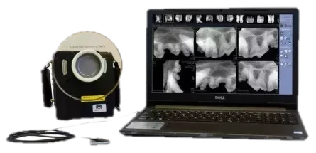 Image-Vet FleXX handheld x-ray beside a laptop showing dental radiographs